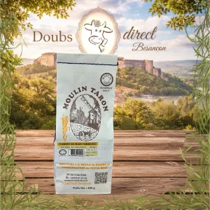 Moulin Taron à Chaussin